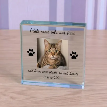 Cat - In Memory Glass Token