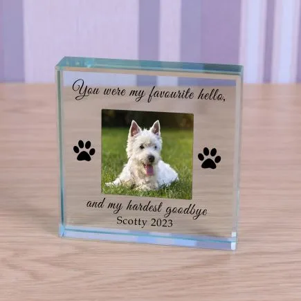 Favourite Hello Pet Memory Glass Token