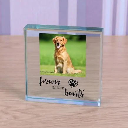 Forever in our Hearts Pet Memory Glass Token