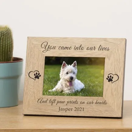 You Left Paw Prints On Our Hearts Pet Memory Wood Picture Frame (6