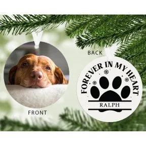 Forever in my Heart Photo Upload Pet Decoration