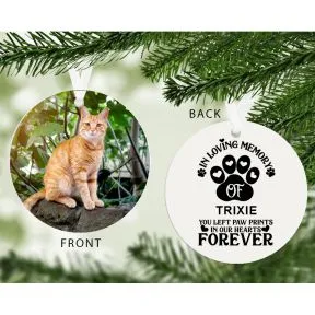 Pawprints In Our Hearts Photo Upload Decoration