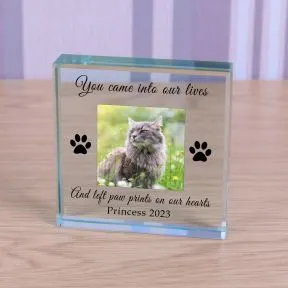 Paw Prints Pet Memory Glass Token