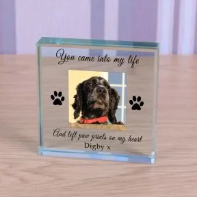 Paw Prints Pet Memory Glass Token