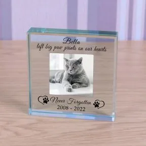 Never Forgotten Pet Memory Glass Token