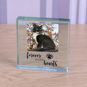 Forever in our Hearts Pet Memory Glass Token