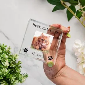 Best Cat Ever Glass Token