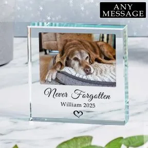 Pet / Pet Memory Glass Token