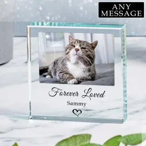 Pet / Pet Memory Glass Token