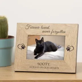 Always in our Hearts Pet Memory Wood Picture Frame (6
